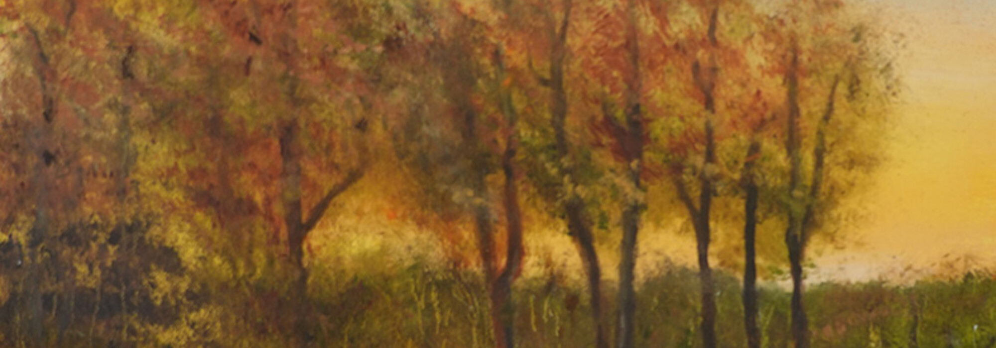 Headerafbeelding