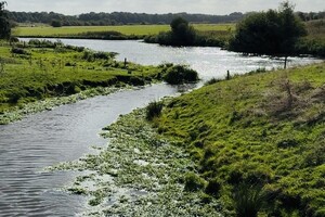 Foto bij nieuwsbericht   (Opent de afbeelding vergroot)