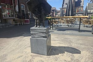 Foto bij nieuwsbericht 