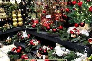 Foto bij nieuwsbericht   (Opent de afbeelding vergroot)