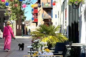 Foto bij nieuwsbericht   (Opent de afbeelding vergroot)