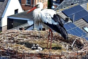 Foto bij nieuwsbericht   (Opent de afbeelding vergroot)