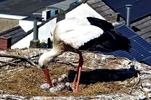 Foto bij nieuwsbericht 