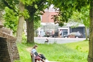 Foto bij nieuwsbericht   (Opent de afbeelding vergroot)