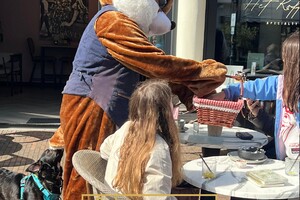 Foto bij nieuwsbericht   (Opent de afbeelding vergroot)