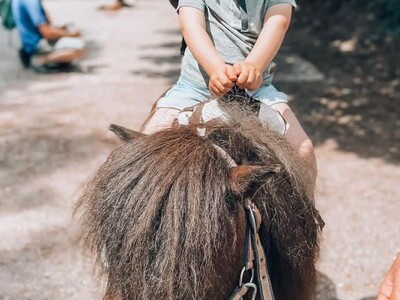 Paardrijden op vakantie?