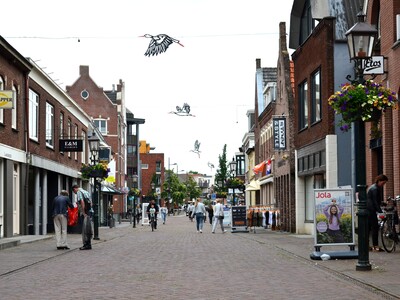 Ooievaars in de Zandstraat