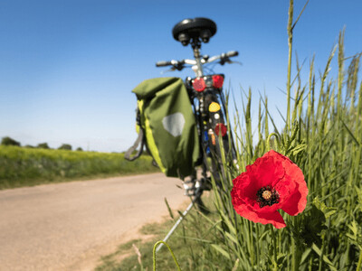 Foto bij nieuwsartikel: Fiets Belevingsdag 6 juli!