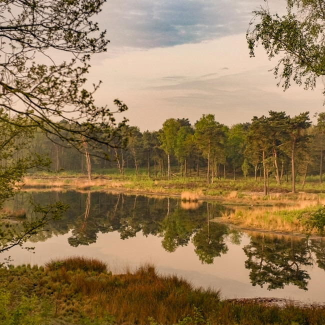 Gennep in beeld