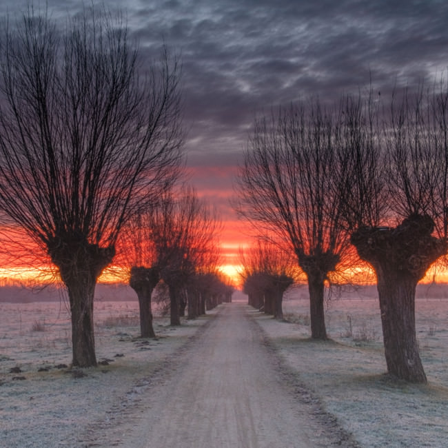 Gennep in beeld