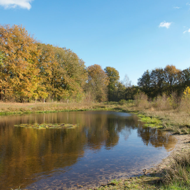 Gennep in beeld