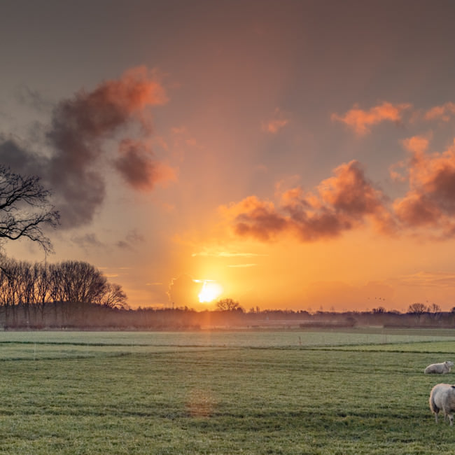 Gennep in beeld