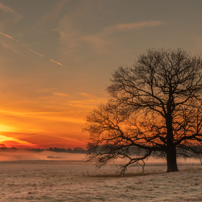 Gennep in beeld