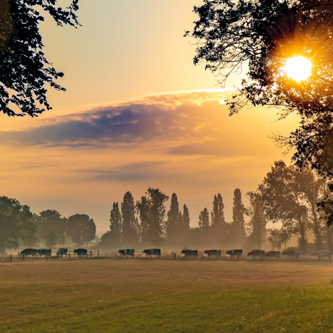 Gennep in beeld